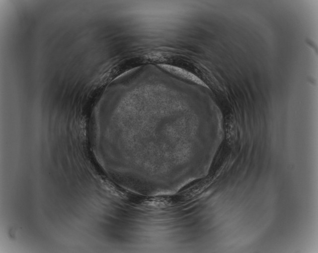 X0000091000466200708241453