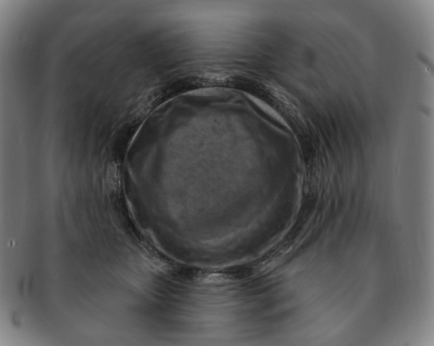 X0000091000467200708241453