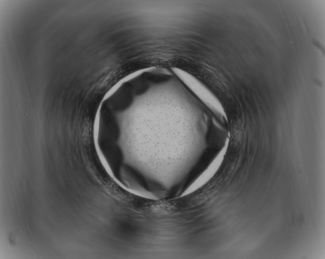 X0000091000468200708241453