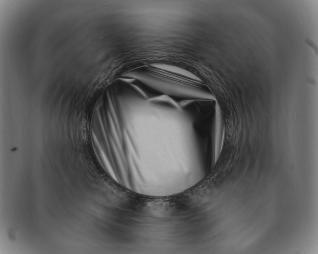 X0000091000470200708241453