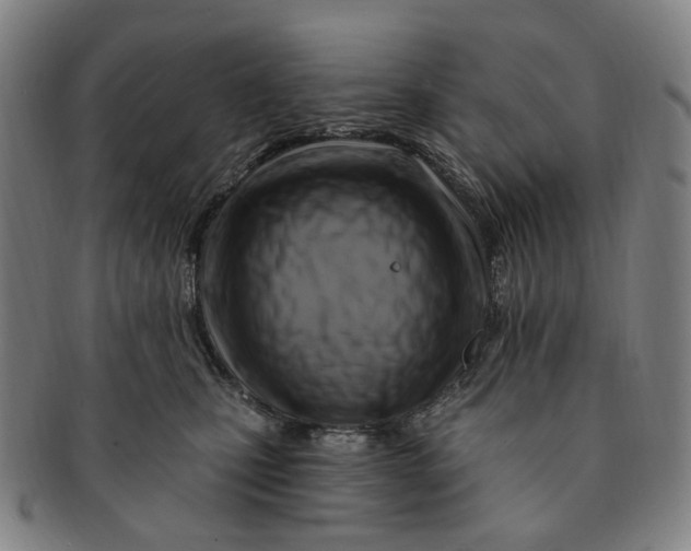 X0000091000471200708241453