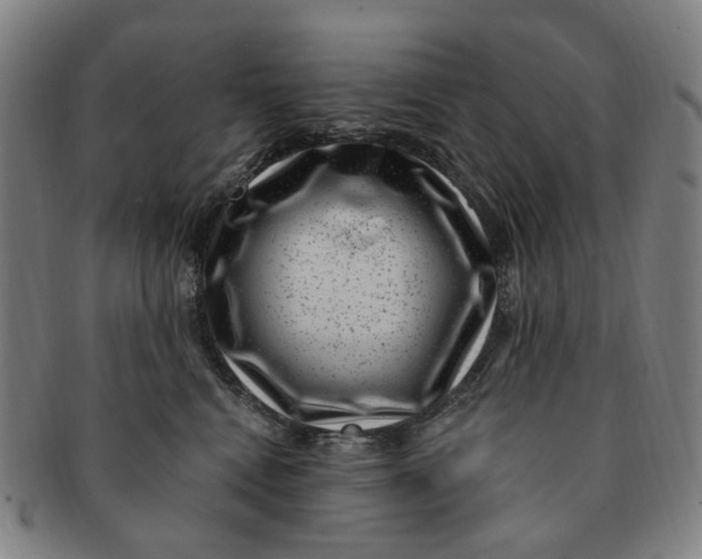 X0000091000472200708241454