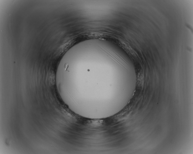 X0000091000474200708241454