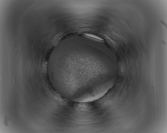 X0000091000475200708241454