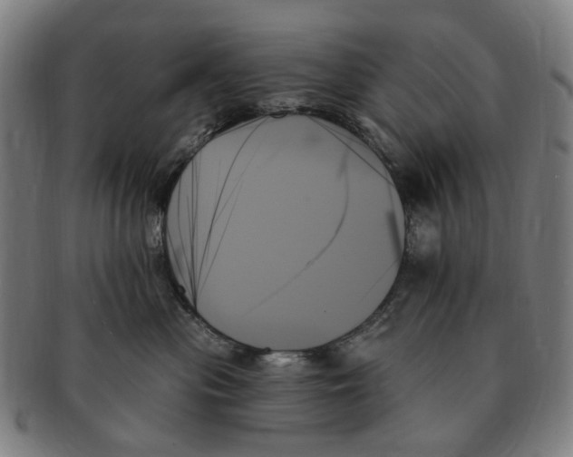 X0000091000477200708241454