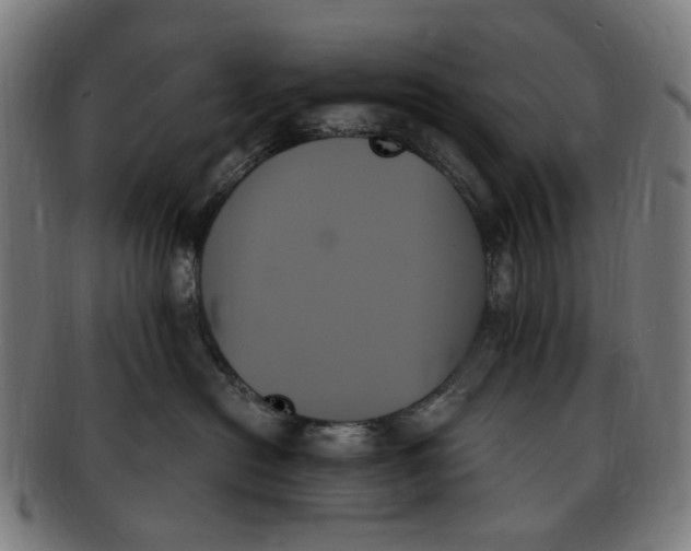 X0000091000478200708241454