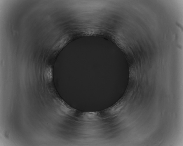 X0000091000479200708241454