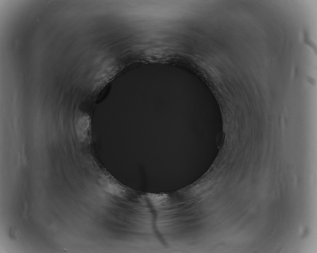 X0000091000480200708241454