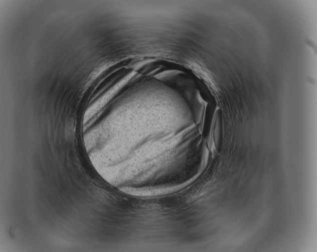 X0000091000483200708241453