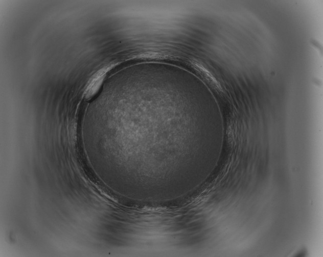 X0000091000484200708241453