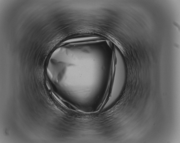 X0000091000485200708241453