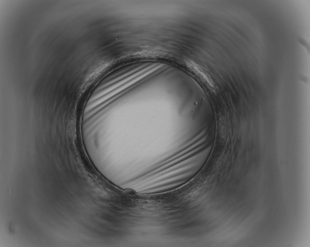 X0000091000486200708241453