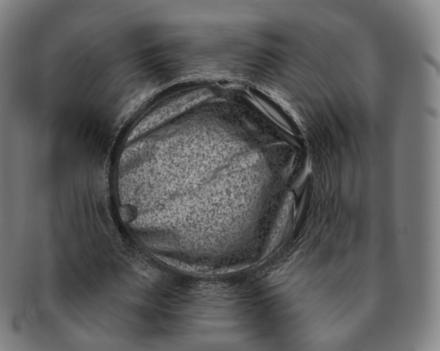 X0000091000487200708241453