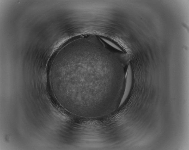 X0000091000488200708241453