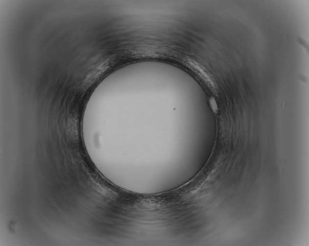 X0000091000489200708241453