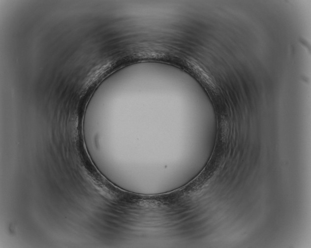 X0000091000490200708241453