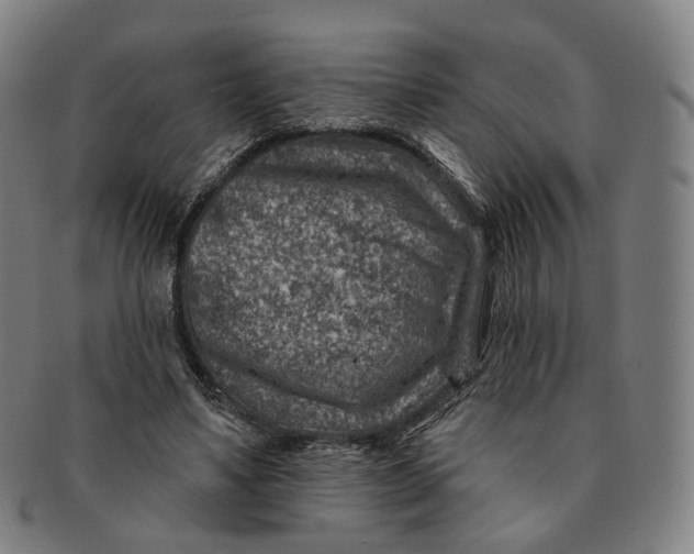 X0000091000491200708241453