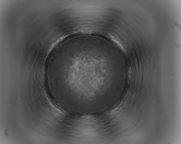 X0000091000492200708241453