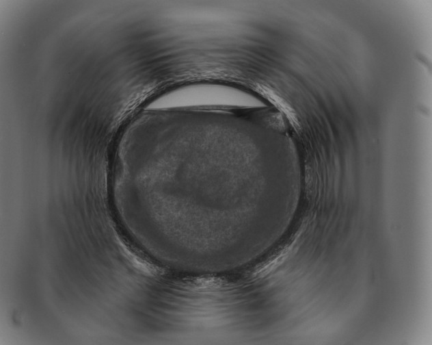 X0000091000493200708241453