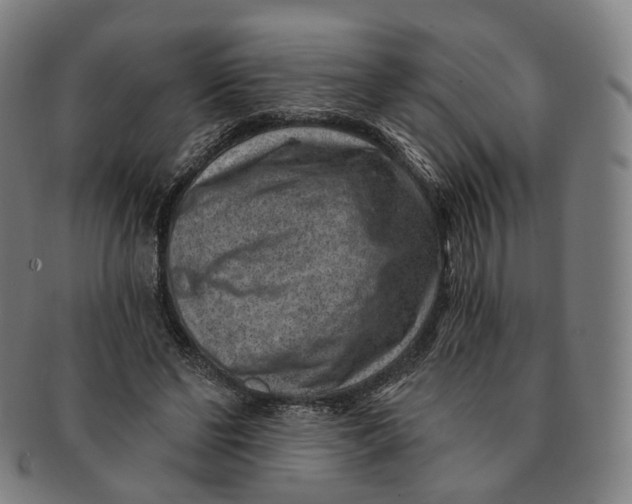 X0000091000494200708241453