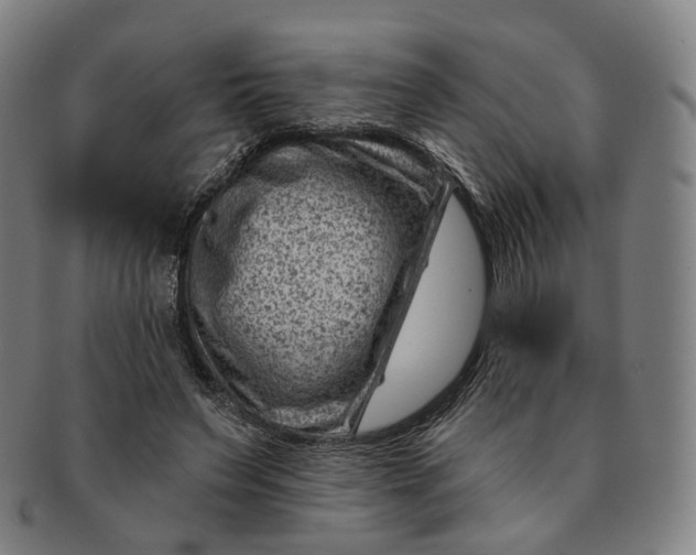 X0000091000495200708241453