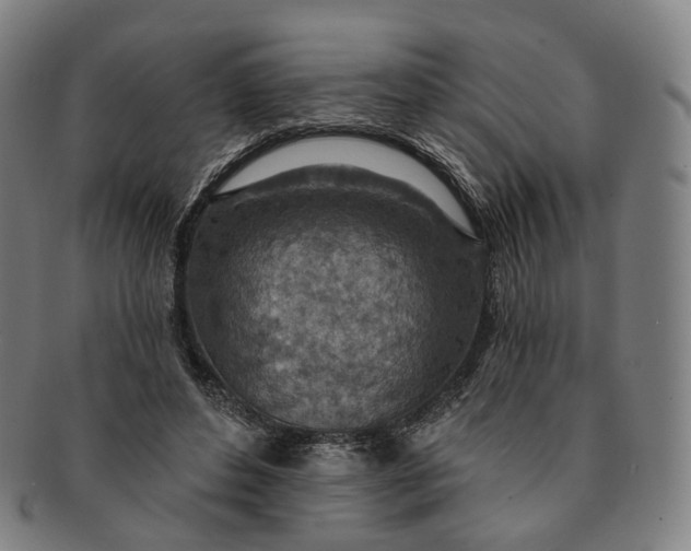 X0000091000496200708241453