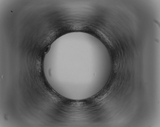 X0000091000497200708241453