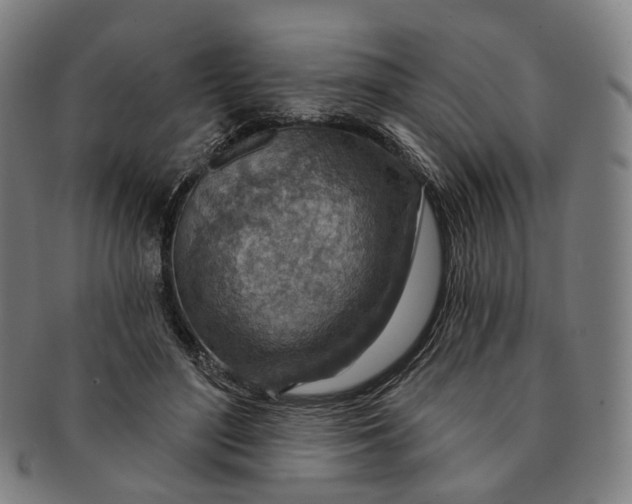 X0000091000500200708241453