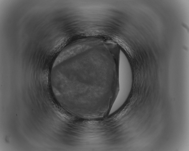 X0000091000501200708241453