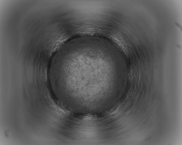 X0000091000504200708241453