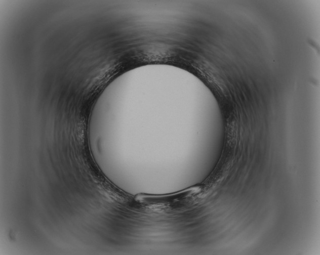 X0000091000505200708241453