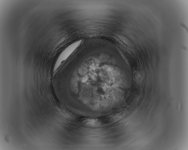 X0000091000507200708241453