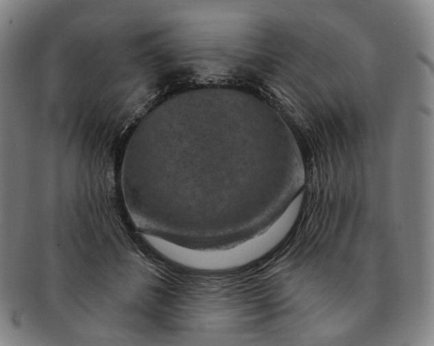 X0000091000508200708241453