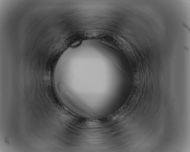 X0000091000510200708241453