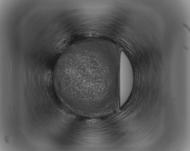 X0000091000511200708241453