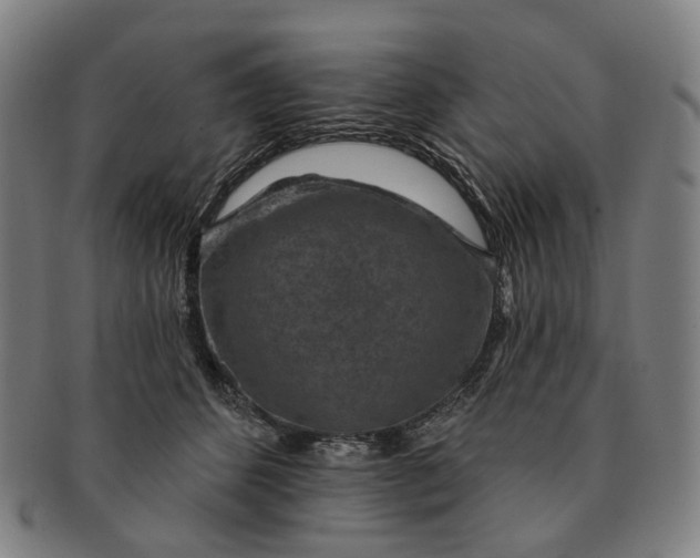 X0000091000512200708241453