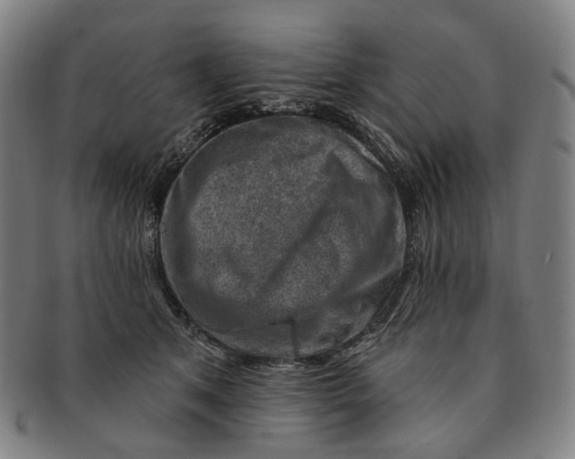 X0000091000513200708241453