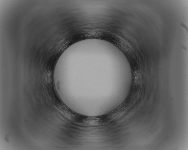 X0000091000514200708241453