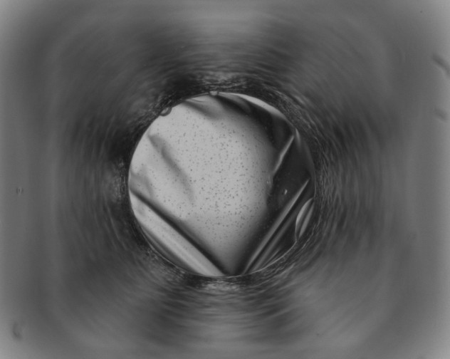 X0000091000515200708241453