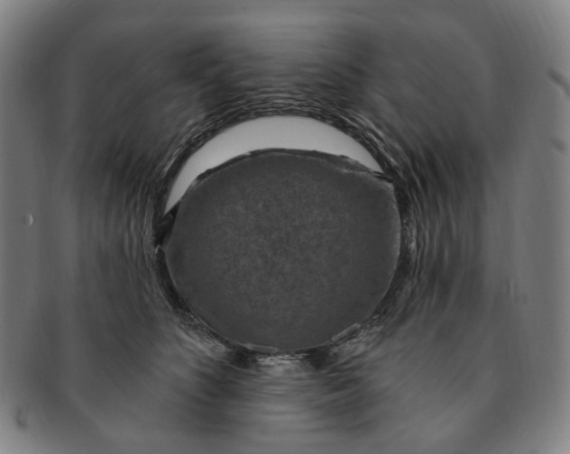 X0000091000516200708241452