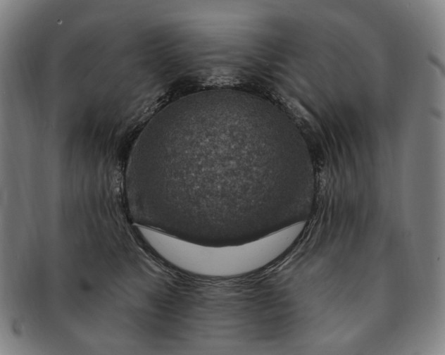 X0000091000517200708241452