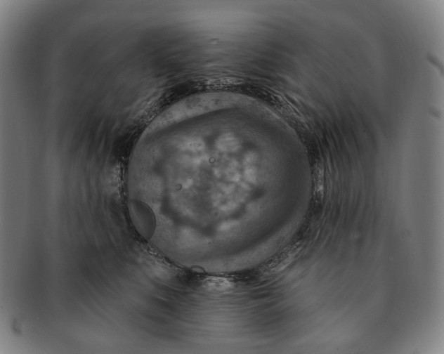 X0000091000519200708241452