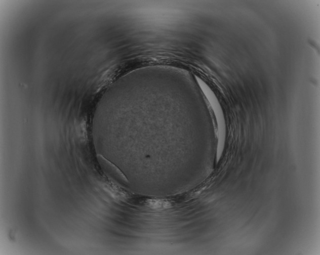 X0000091000520200708241452