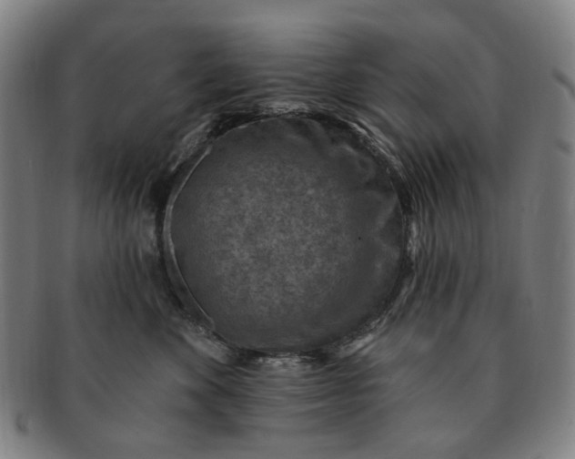 X0000091000524200708241452