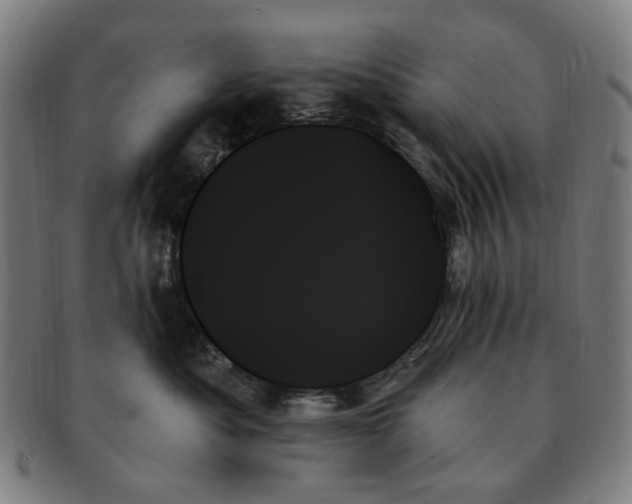 X0000091000525200708241452