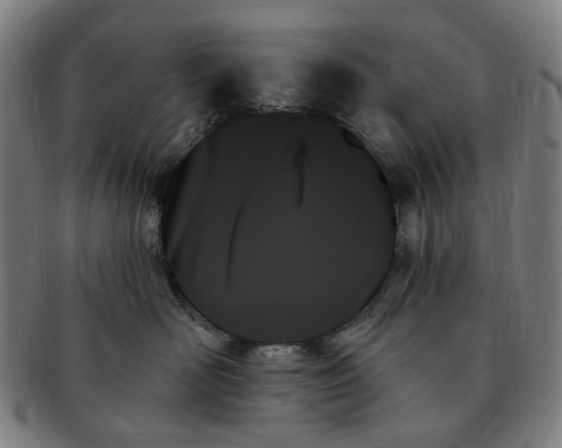 X0000091000526200708241452