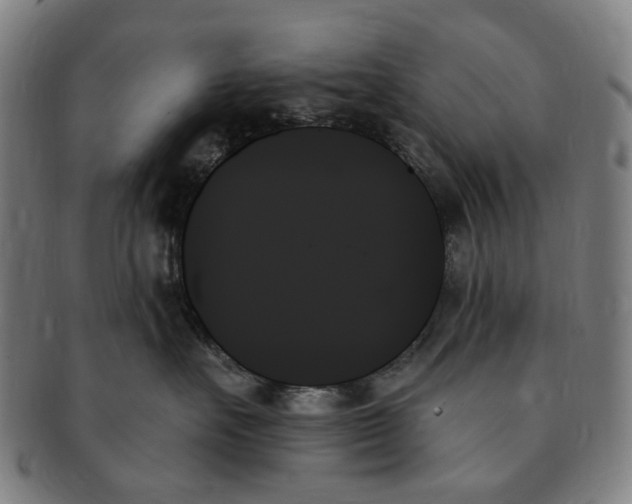 X0000091000527200708241452