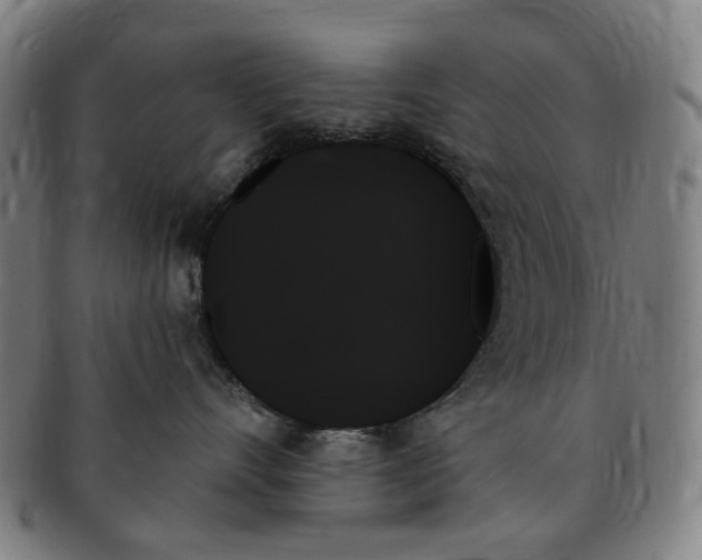 X0000091000528200708241452