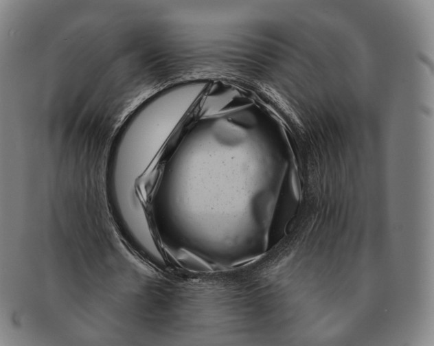 X0000091000530200708241452