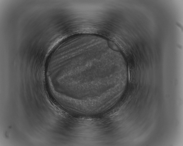 X0000091000531200708241452